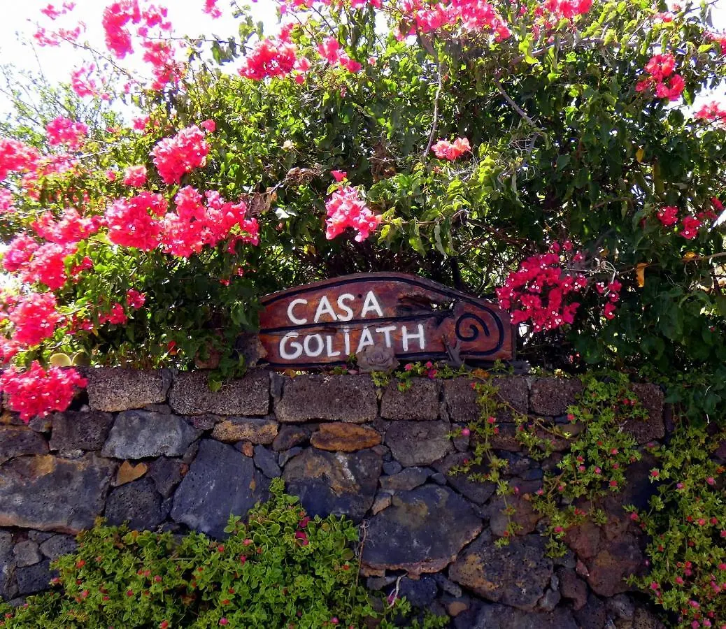 Casa Goliath contacts